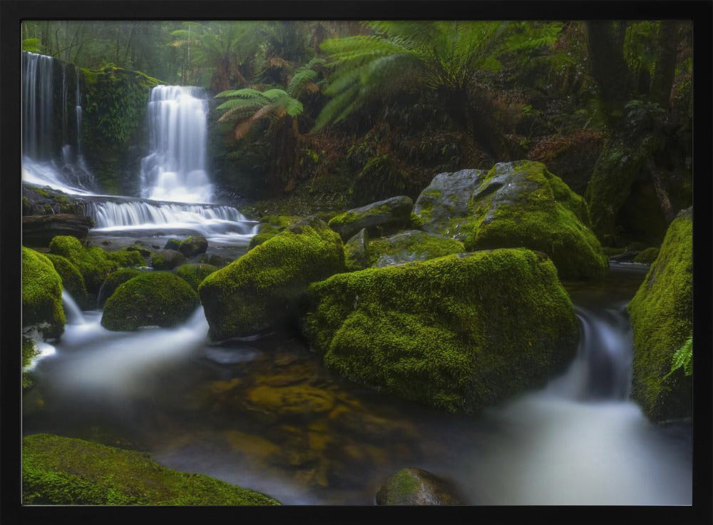 Hello Horseshoe | Poster