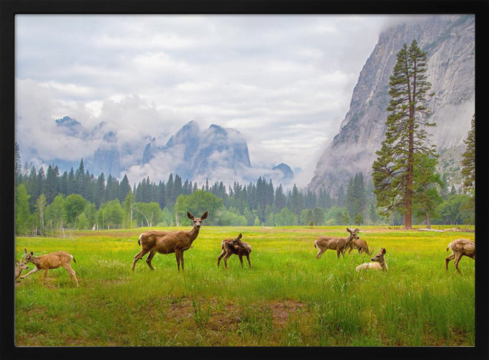 A Feeling of Ancient Time | Poster