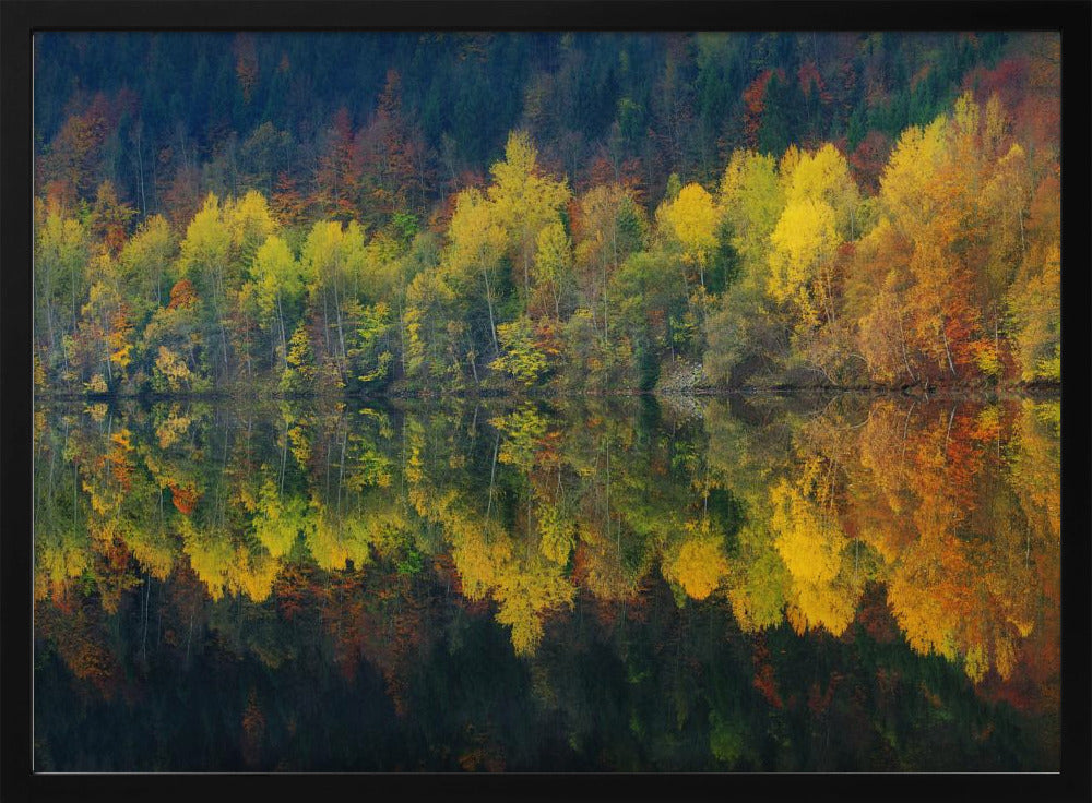 Autumnal silence | Poster