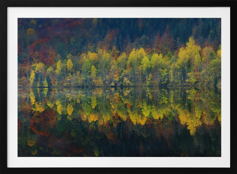 Autumnal silence | Poster