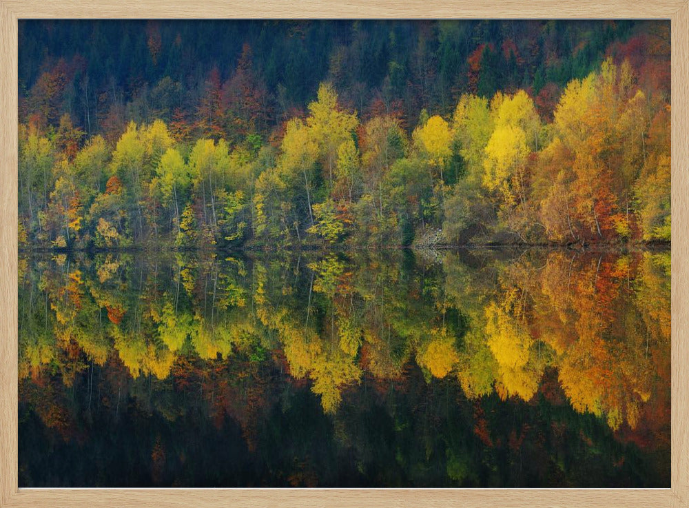 Autumnal silence | Poster