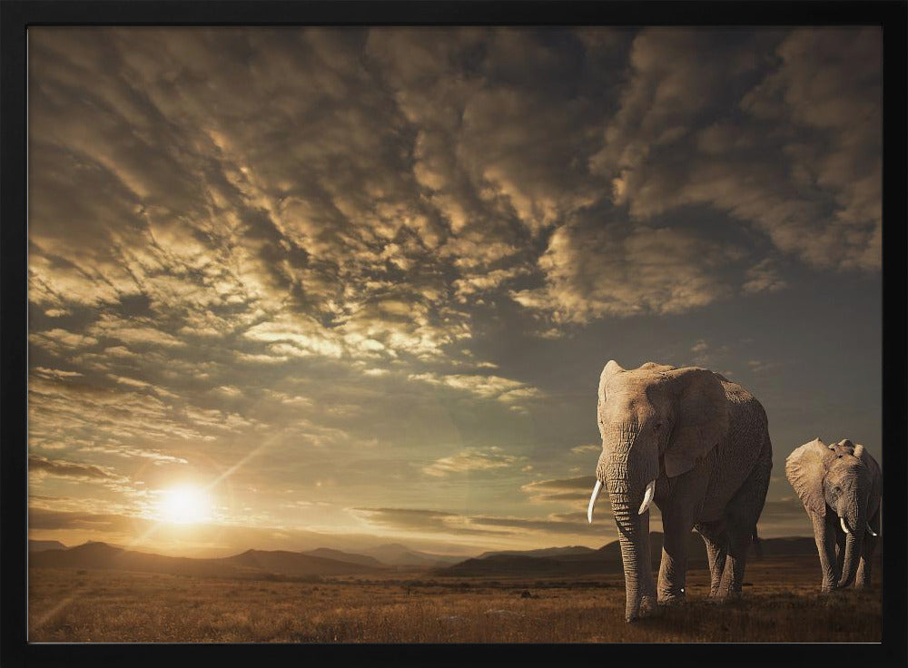 Walking in Savannah | Poster