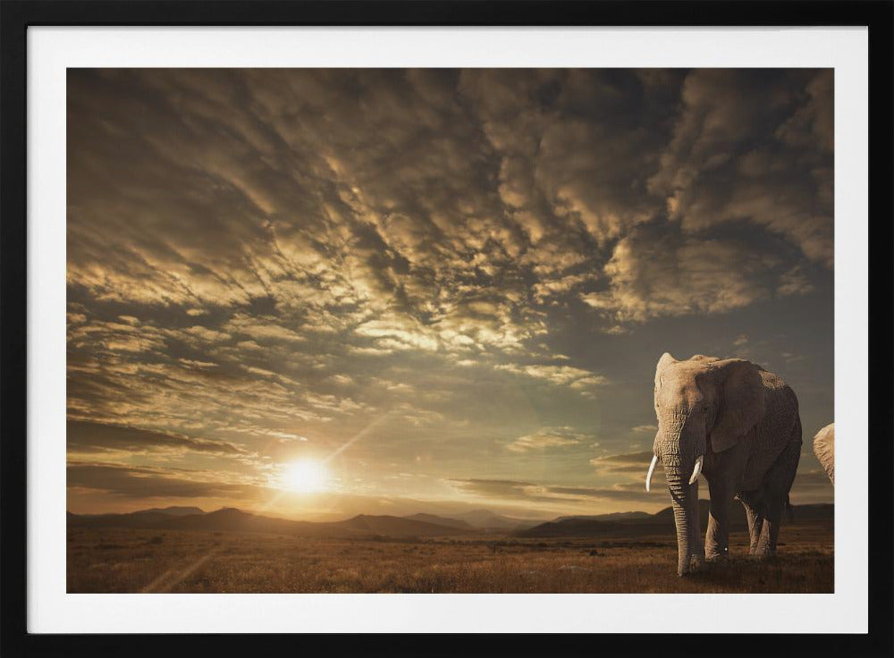 Walking in Savannah | Poster