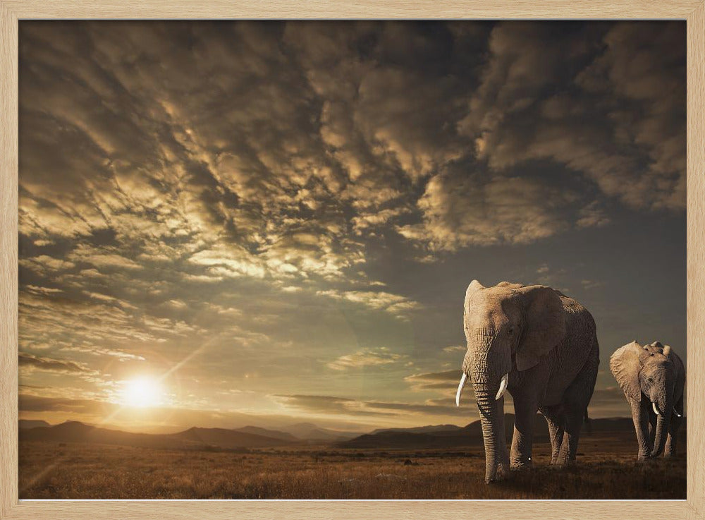 Walking in Savannah | Poster