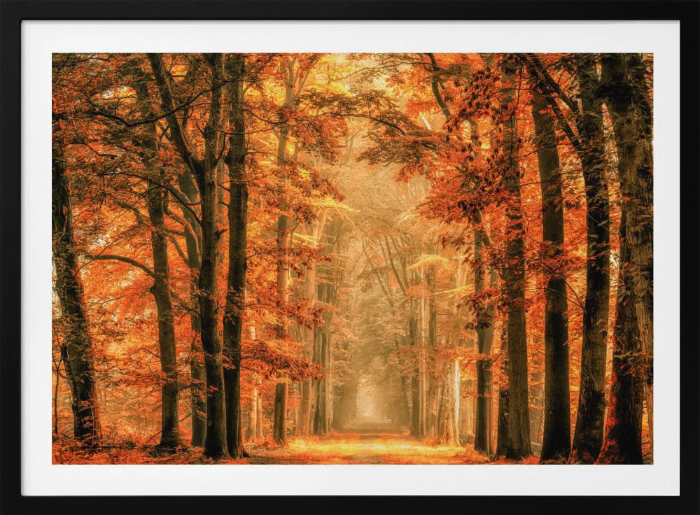 Exit the Portal | Poster