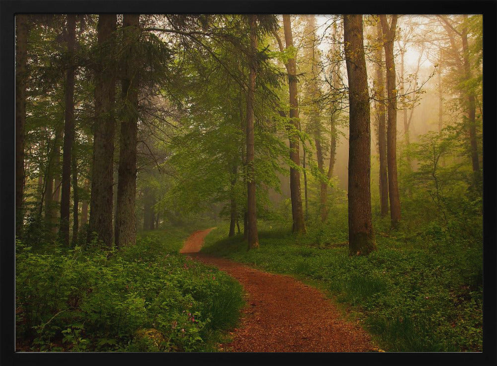 The Red Path. | Poster