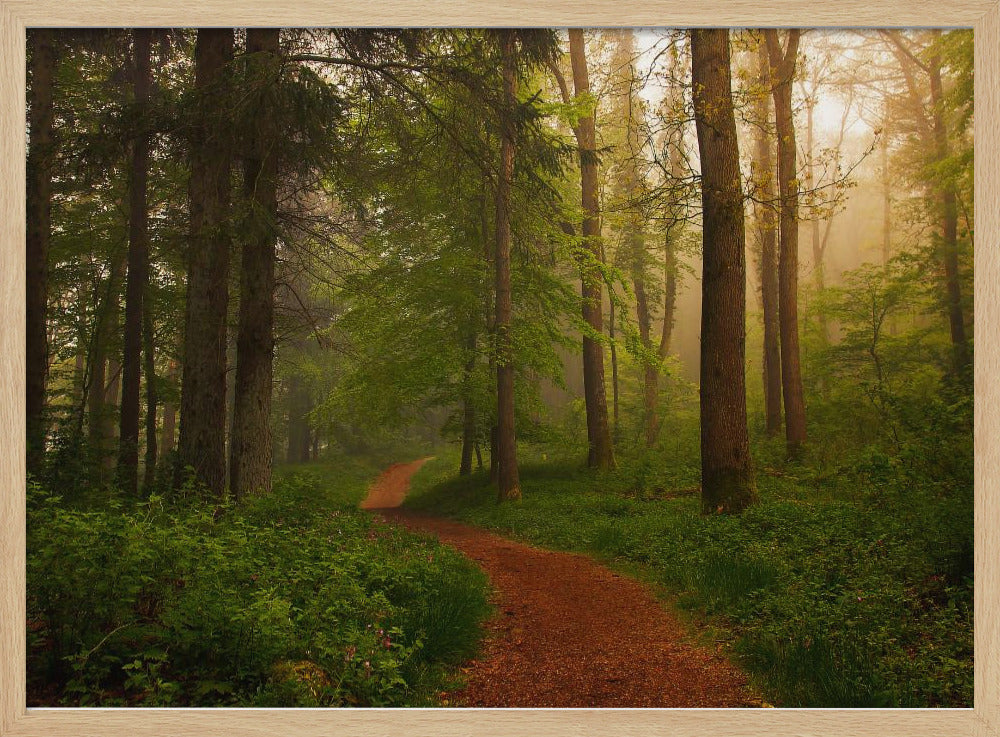 The Red Path. | Poster