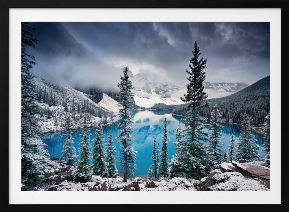 Morning blues | Poster