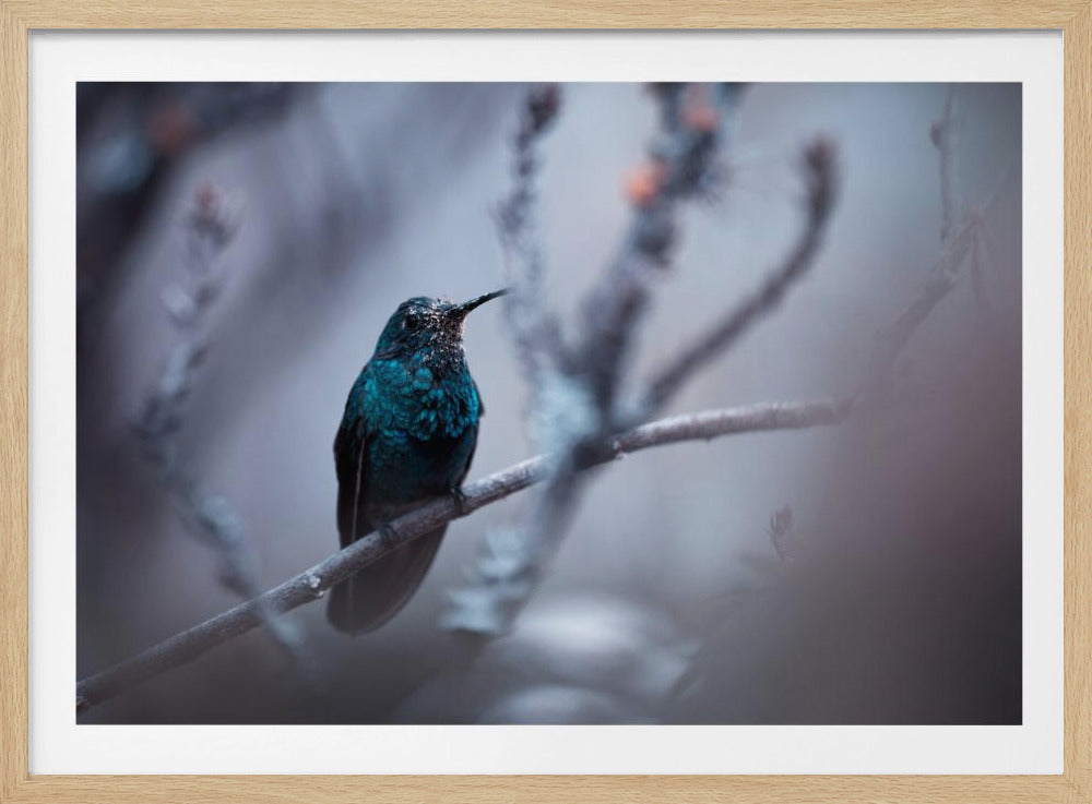 Electrical Blue | Poster