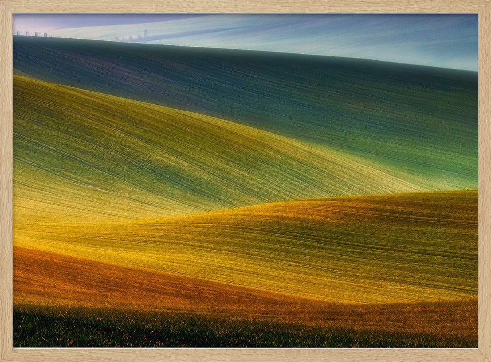 Spring fields | Poster