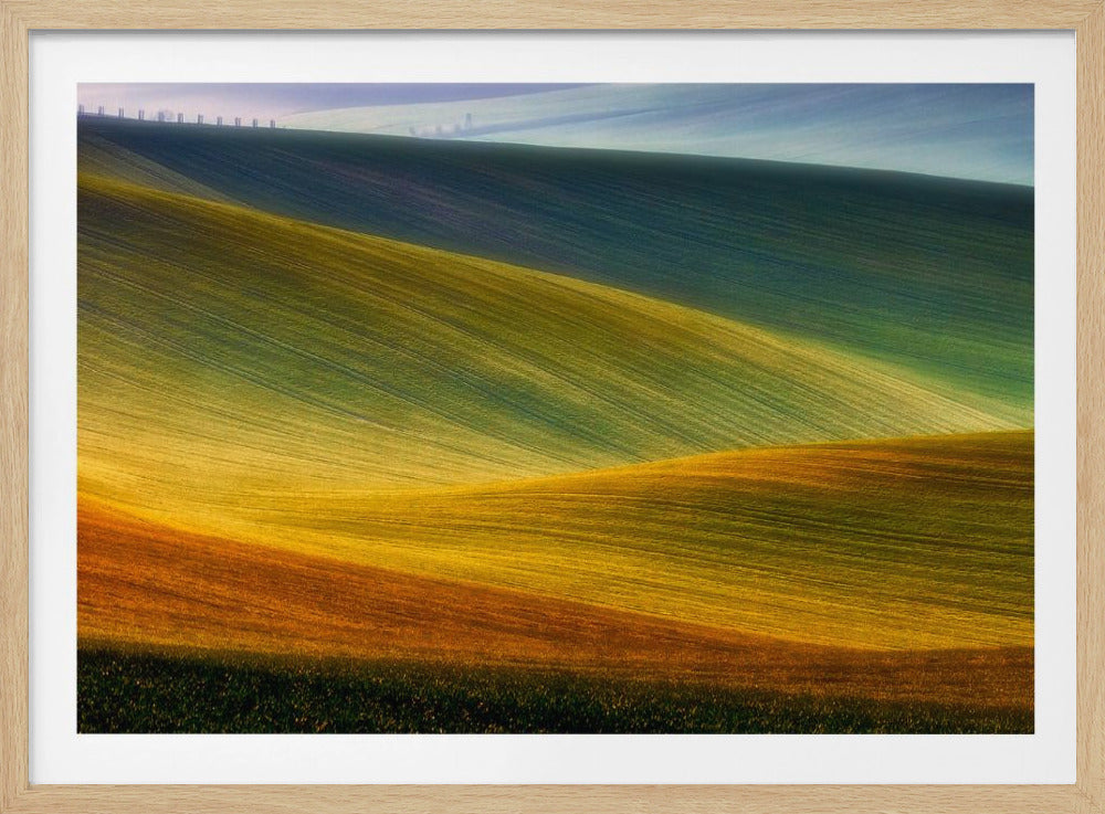 Spring fields | Poster