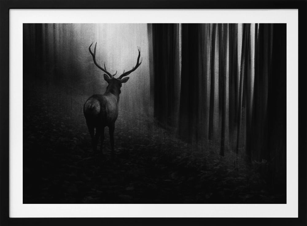 Stag | Poster
