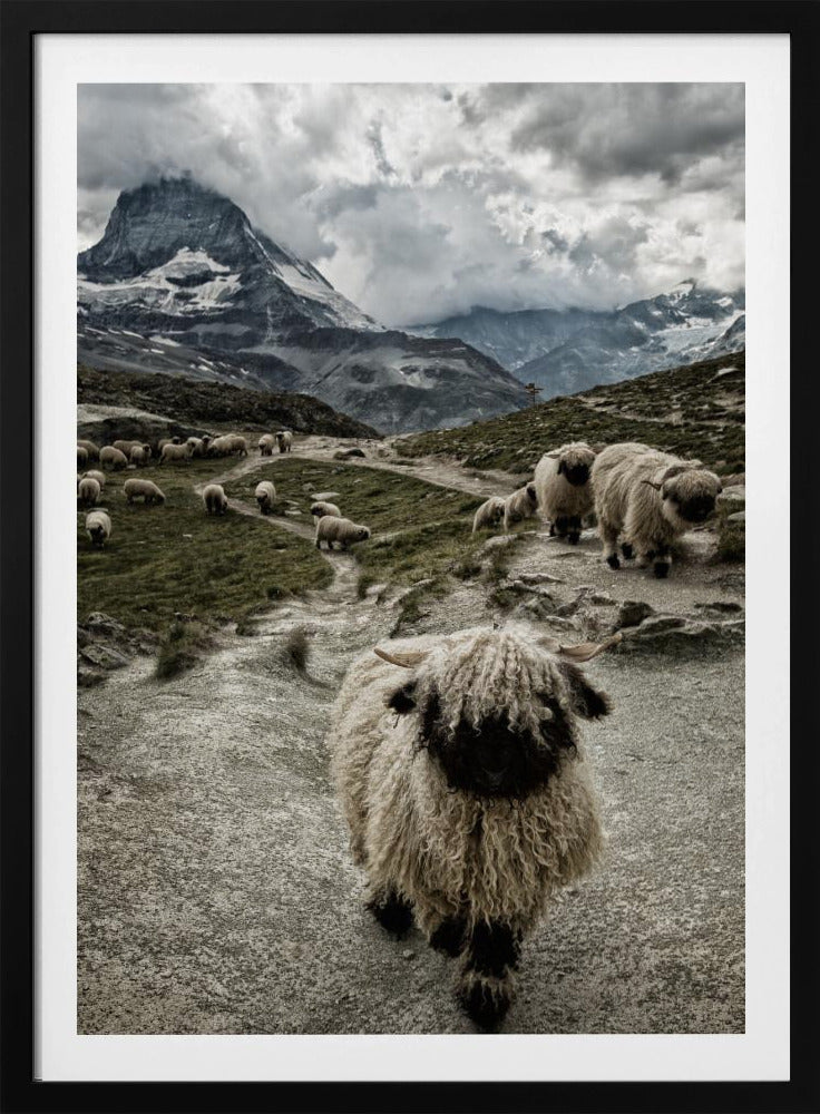 Out of my way | Poster