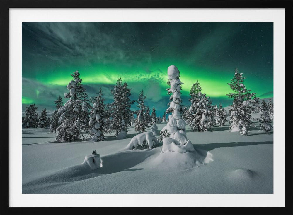 polar night | Poster