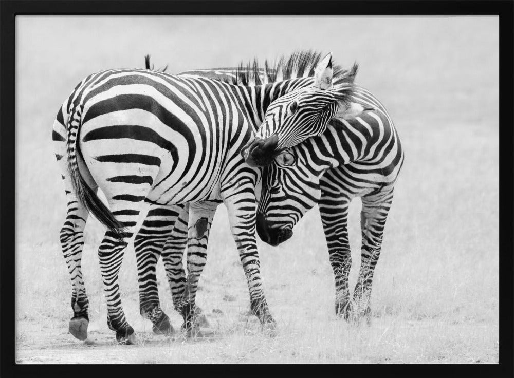 Tender Moment | Poster