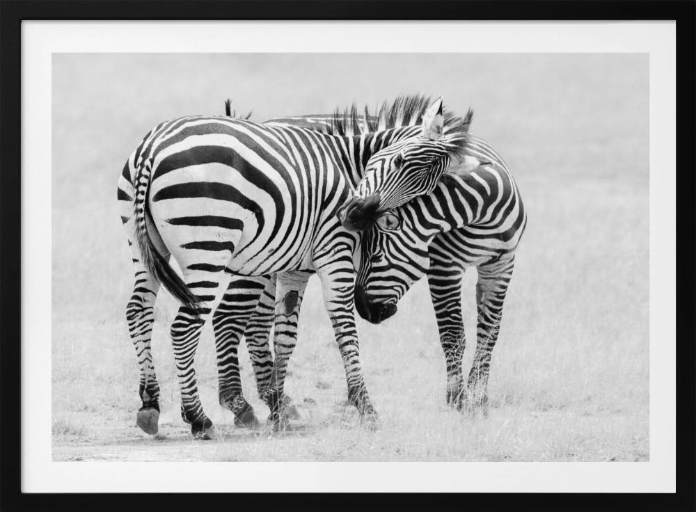 Tender Moment | Poster