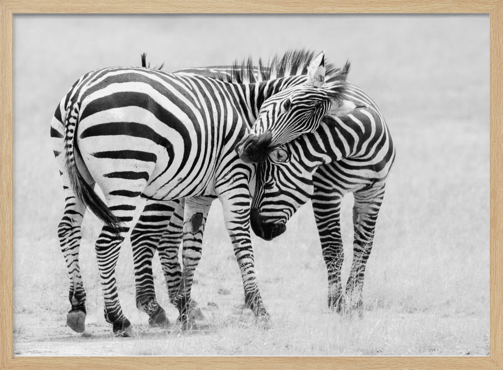 Tender Moment | Poster