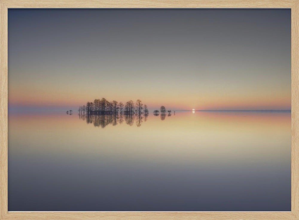 Lake Mattamuskeet Memory | Poster