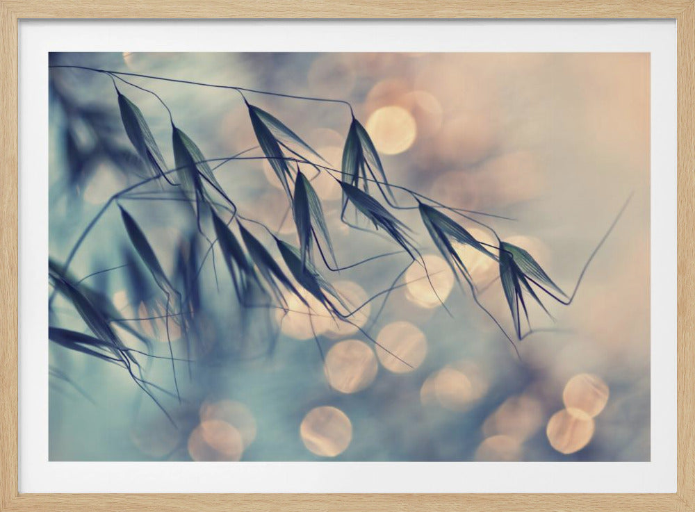 ...<<< | Poster