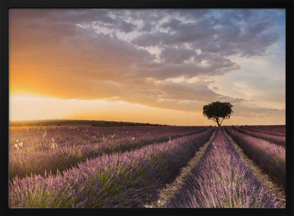 DESTINATION LAVENDER | Poster