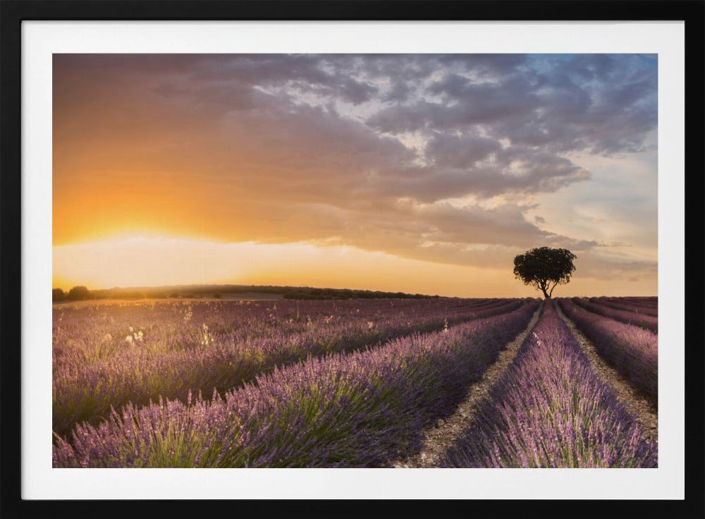 DESTINATION LAVENDER | Poster