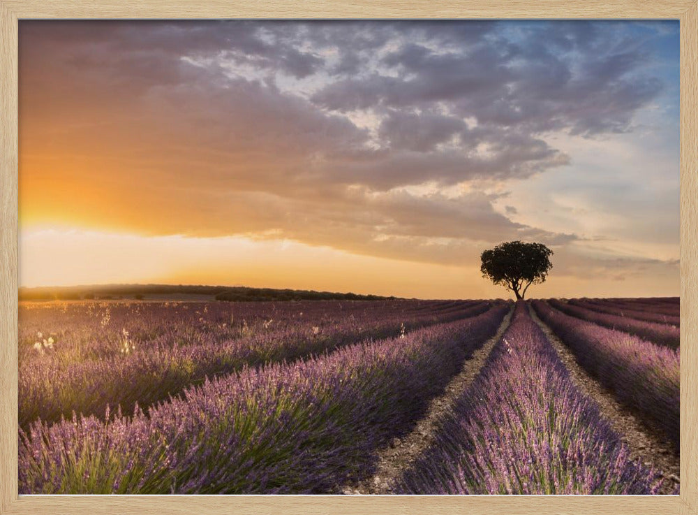 DESTINATION LAVENDER | Poster