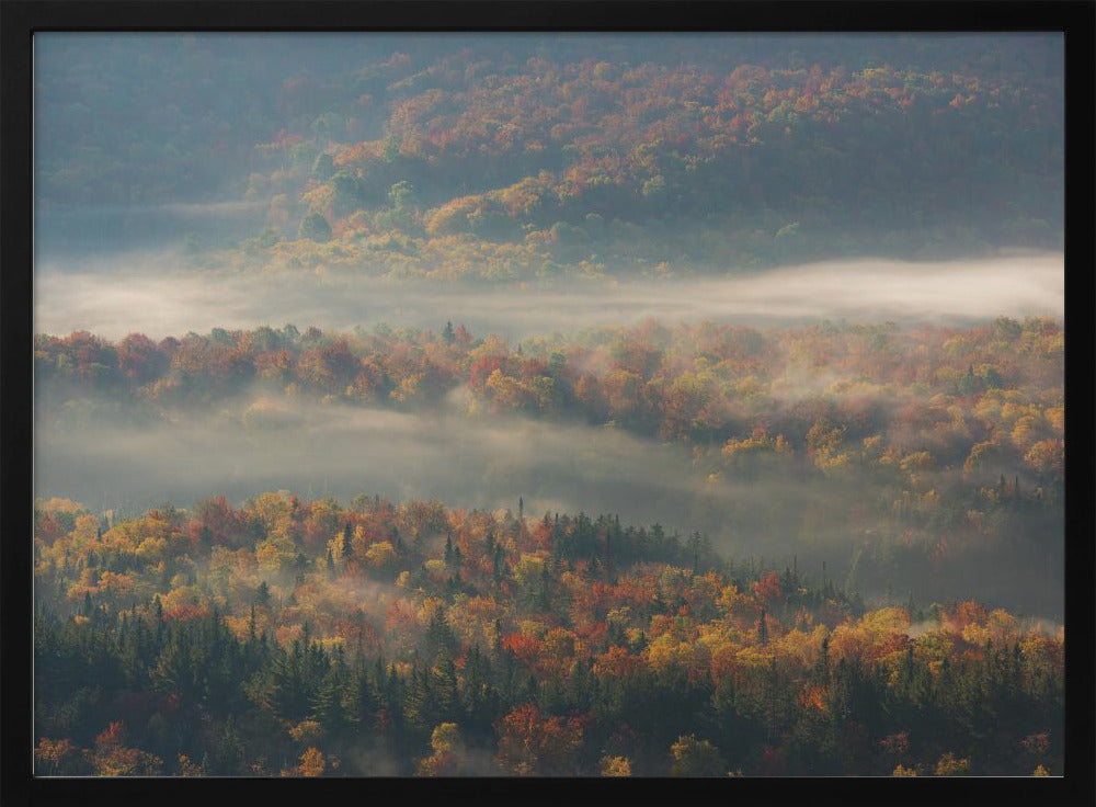 Misty Morning | Poster