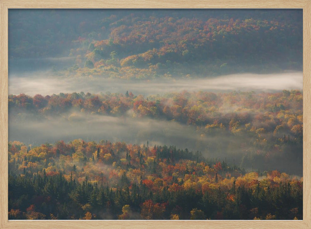 Misty Morning | Poster