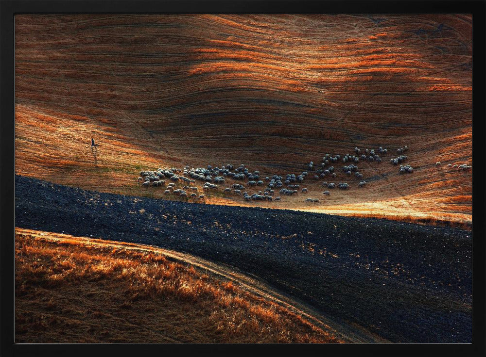 Il gregge 3 | Poster