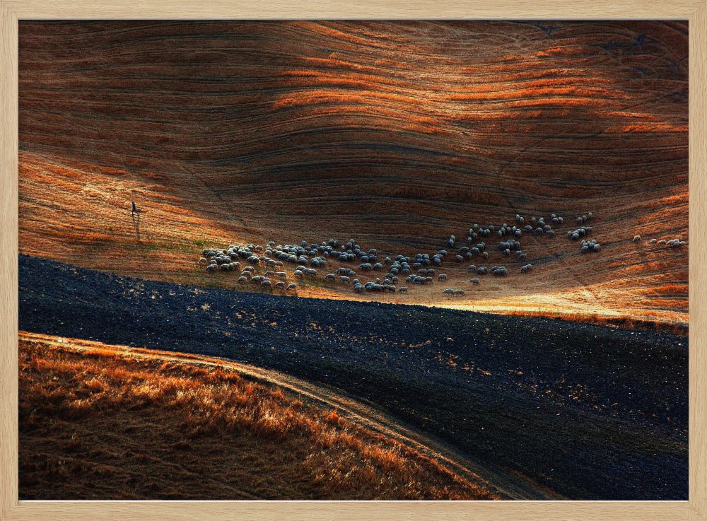 Il gregge 3 | Poster