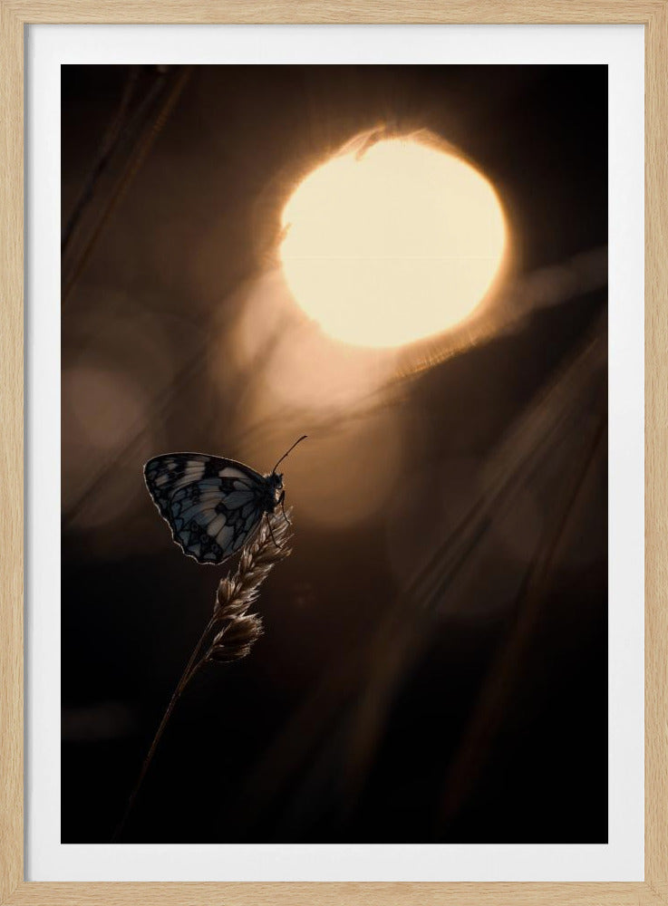 Communion avec les astres | Poster