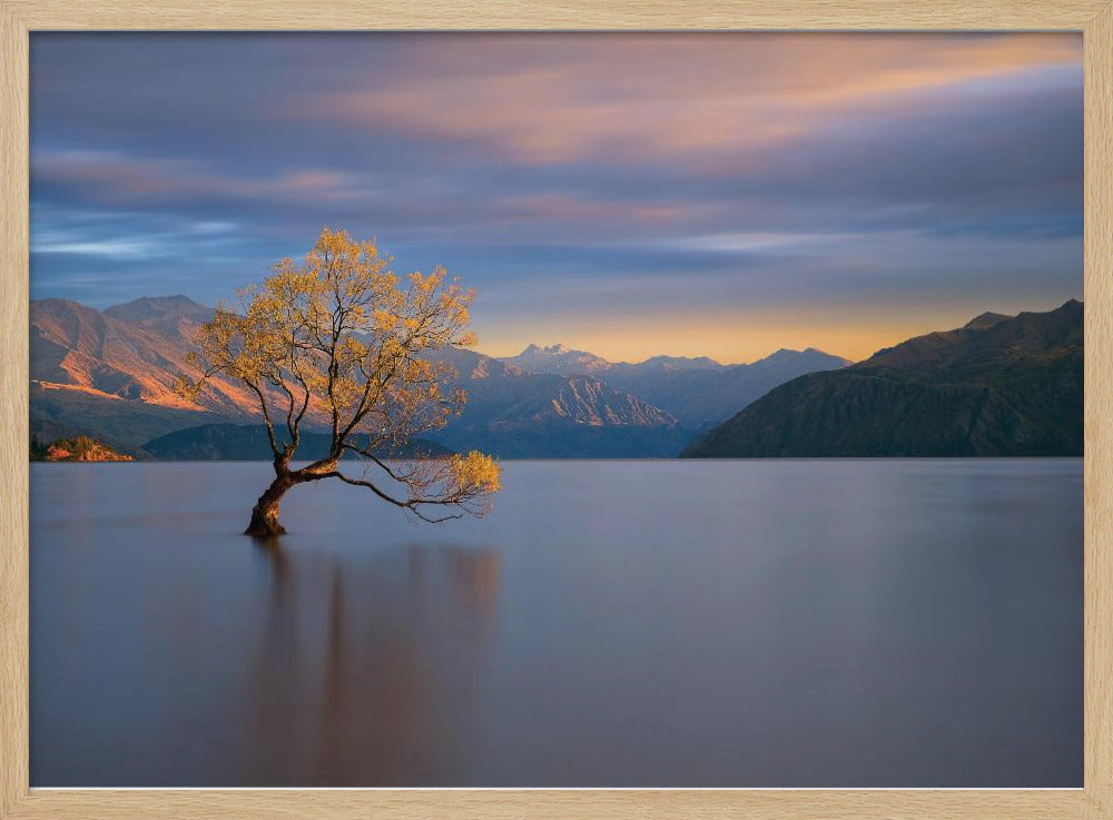 Morning Glow | Poster