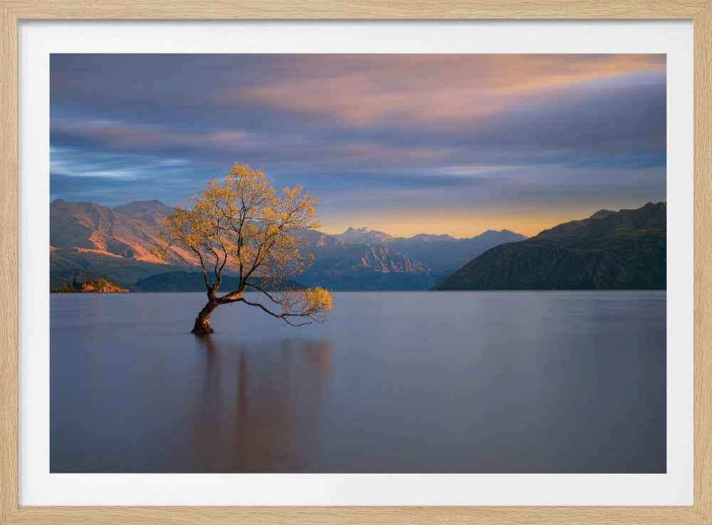 Morning Glow | Poster