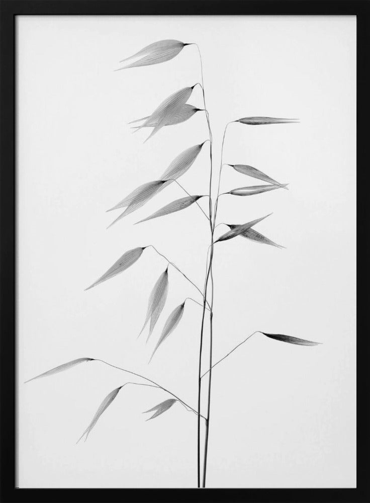 Sharpness of the nature | Poster