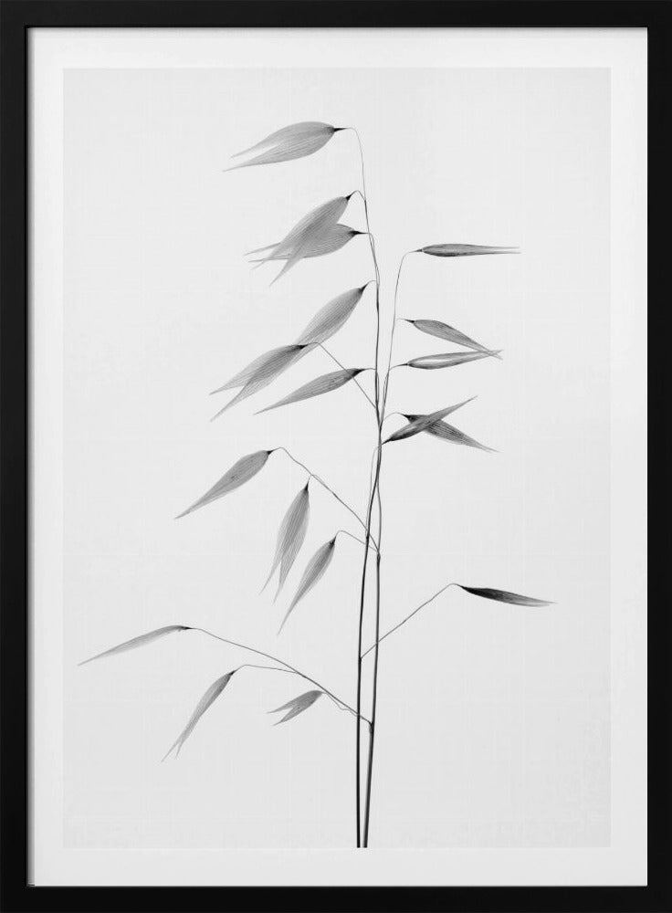 Sharpness of the nature | Poster