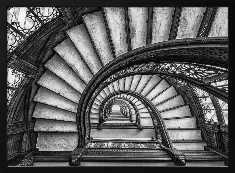 The Rookery | Poster