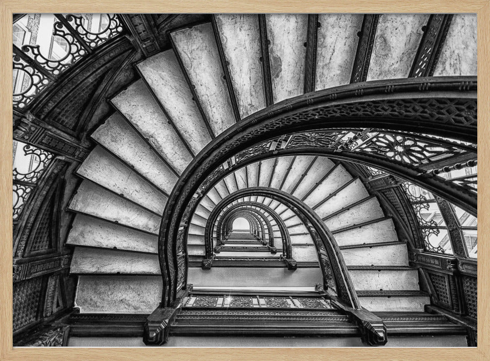 The Rookery | Poster