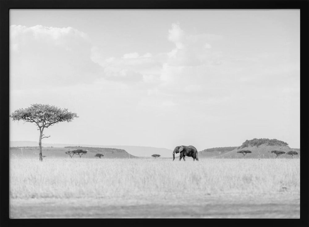 HIGH KEY SAVANNAH | Poster