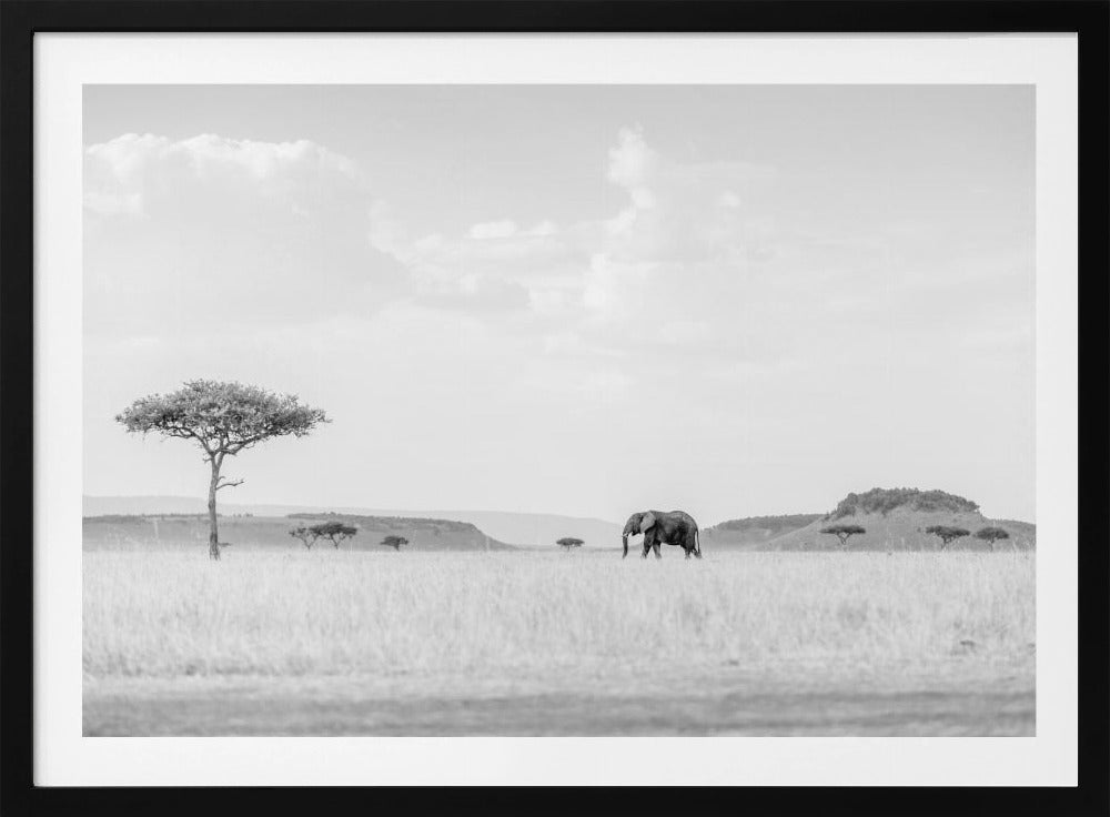 HIGH KEY SAVANNAH | Poster