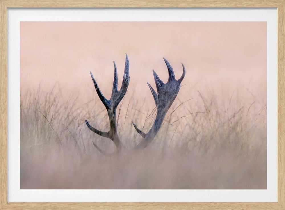 Hide & Seek ( Horn of Stag) | Poster