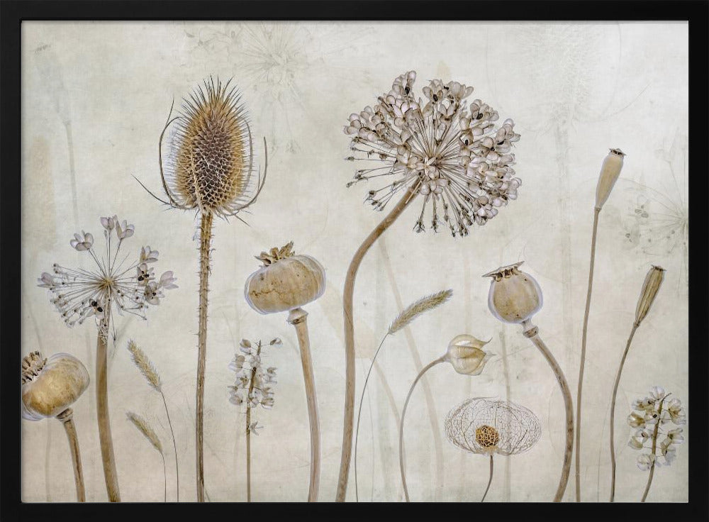 Growing old | Poster