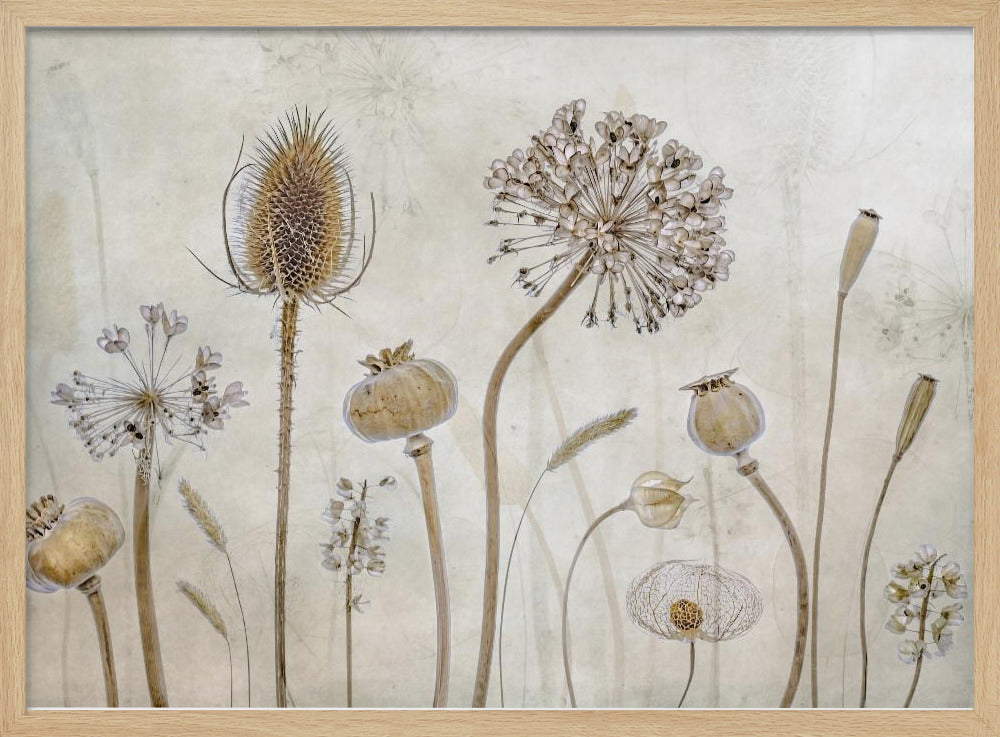 Growing old | Poster