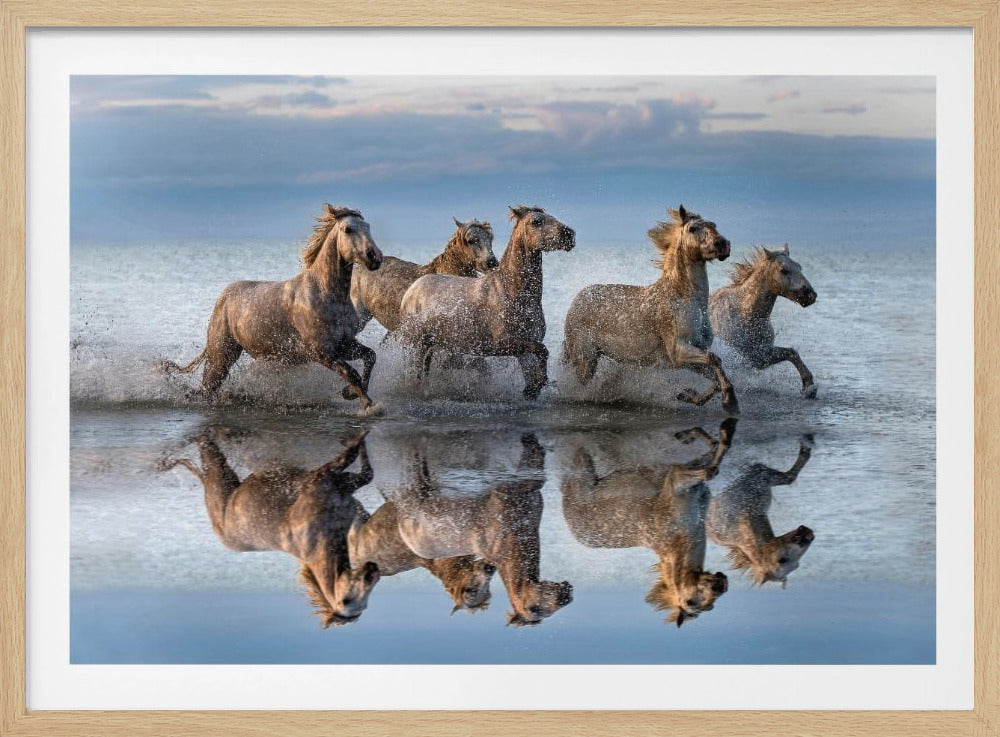 Horses and reflection | Poster
