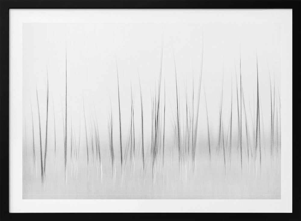 Wintry scenery in Yellowstone | Poster