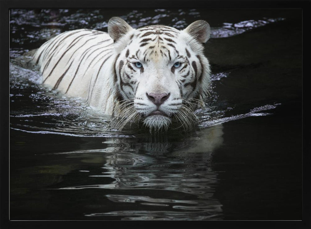 Looking at Me Looking at You | Poster