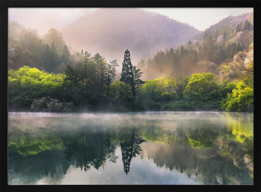 Morning calm | Poster