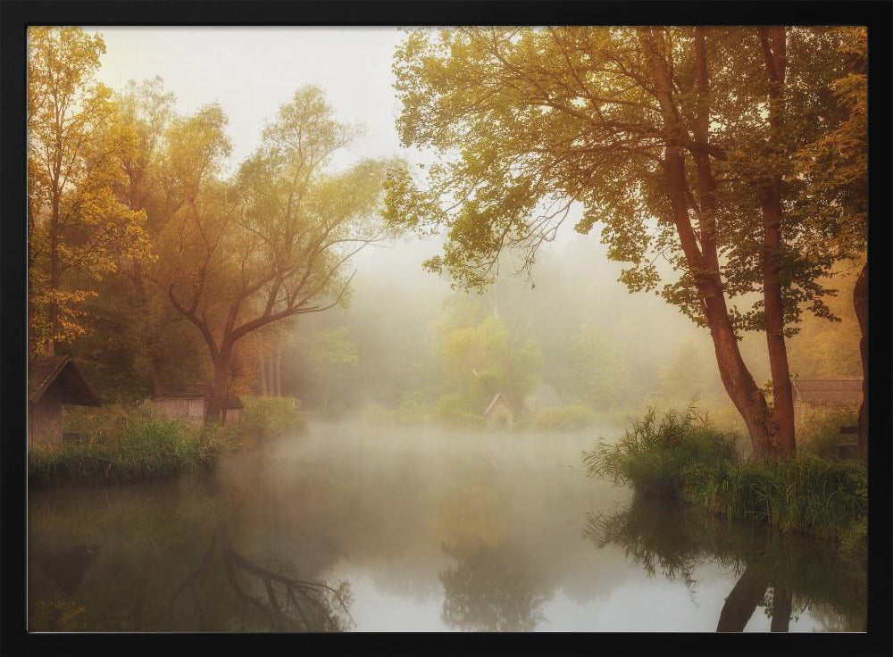 Foggy Autumn | Poster