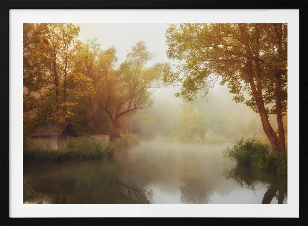 Foggy Autumn | Poster