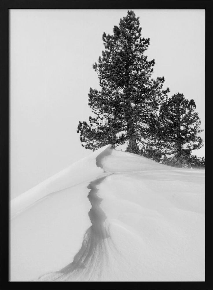 About the snow and forms | Poster