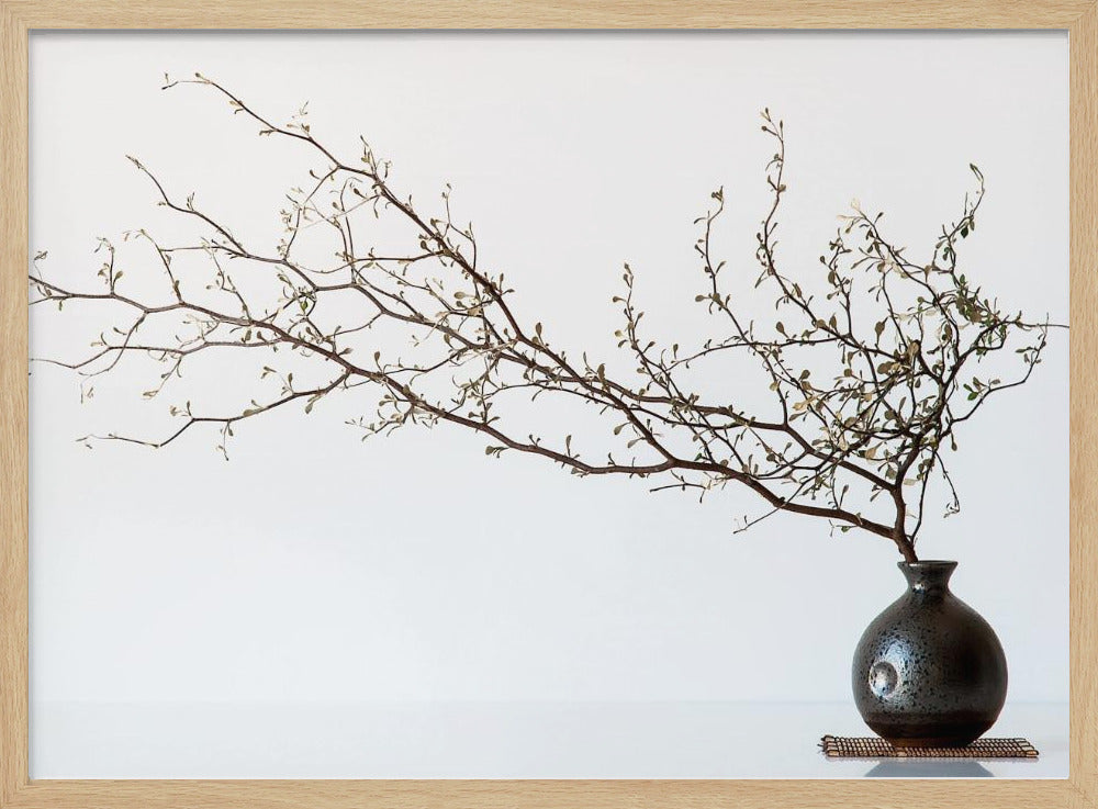 Vase And Branch | Poster